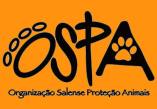 Cats and Dogs Animal Welfare Sal Island