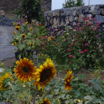 A single woman's tale from living on Fogo, Cape Verde