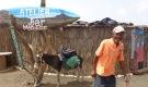 Travel Activities and Excursions Cape Verde Islands